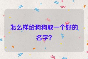 怎么样给狗狗取一个好的名字？