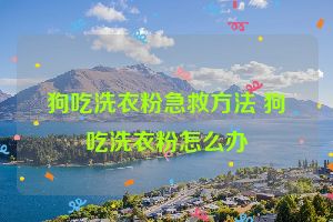 狗吃洗衣粉急救方法 狗吃洗衣粉怎么办