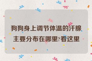 狗狗身上调节体温的汗腺主要分布在哪里?看这里