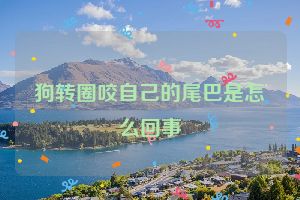 狗转圈咬自己的尾巴是怎么回事