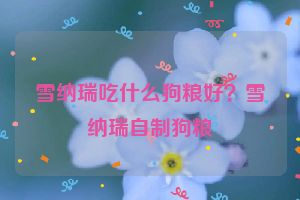 雪纳瑞吃什么狗粮好？雪纳瑞自制狗粮