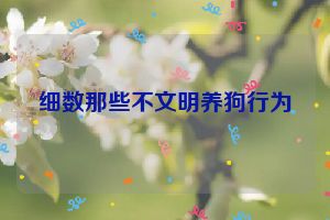 细数那些不文明养狗行为