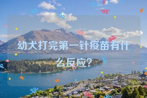 幼犬打完第一针疫苗有什么反应？