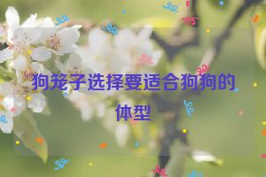 狗笼子选择要适合狗狗的体型