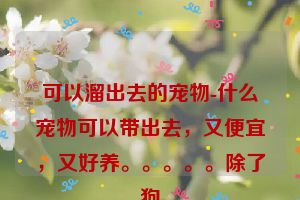 可以溜出去的宠物-什么宠物可以带出去,又便宜,又好养。。。。。除了狗