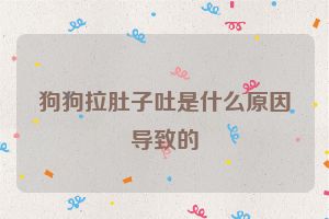 狗狗拉肚子吐是什么原因导致的