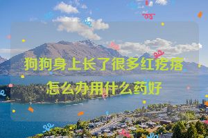 狗狗身上长了很多红疙瘩怎么办用什么药好