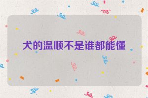 犬的温顺不是谁都能懂