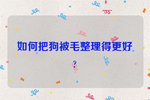 如何把狗被毛整理得更好?