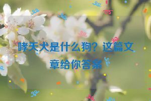 哮天犬是什么狗？这篇文章给你答案