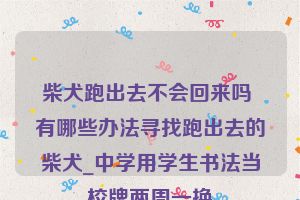 柴犬跑出去不会回来吗 有哪些办法寻找跑出去的柴犬_中学用学生书法当校牌两周一换