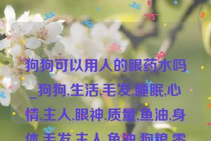 狗狗可以用人的眼药水吗_狗狗,生活,毛发,睡眠,心情,主人,眼神,质量,鱼油,身体,毛发,主人,鱼油,狗粮,零食