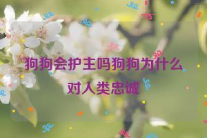 狗狗会护主吗狗狗为什么对人类忠诚