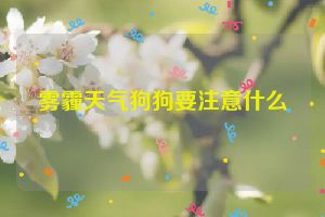 雾霾天气狗狗要注意什么