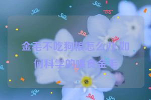金毛不吃狗粮怎么办 如何科学的喂食金毛