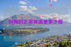 狗狗的正常体温是多少度