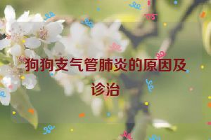 狗狗支气管肺炎的原因及诊治