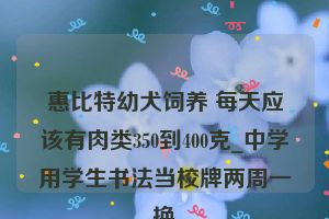 惠比特幼犬饲养 每天应该有肉类350到400克_中学用学生书法当校牌两周一换