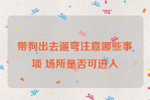 带狗出去遛弯注意哪些事项 场所是否可进入