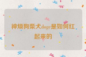 神烦狗柴犬doge是如何红起来的