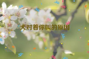 犬对着你叫的原因