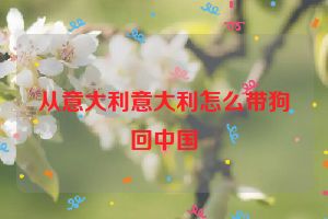 从意大利意大利怎么带狗回中国