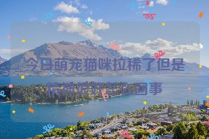 今日萌宠猫咪拉稀了但是精神很好怎么回事