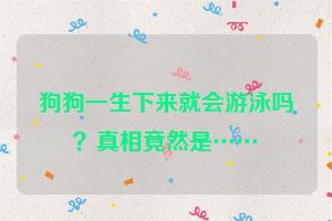 狗狗一生下来就会游泳吗？真相竟然是……