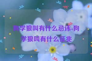 狗学狼叫有什么忌讳-狗学狼叫有什么征兆