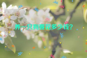 养一只狗要花多少钱？