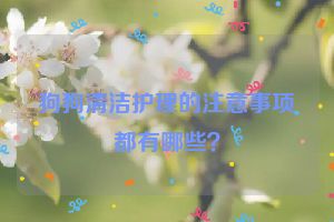 狗狗清洁护理的注意事项都有哪些？