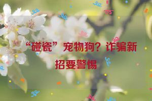 “碰瓷”宠物狗？诈骗新招要警惕