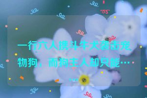 一行六人携斗牛犬袭击宠物狗，而狗主人却只能……
