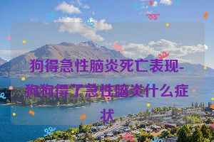 狗得急性脑炎死亡表现-狗狗得了急性脑炎什么症状