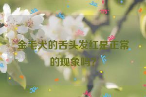 金毛犬的舌头发红是正常的现象吗？