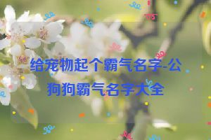 给宠物起个霸气名字-公狗狗霸气名字大全