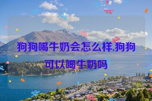 狗狗喝牛奶会怎么样,狗狗可以喝牛奶吗