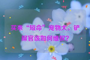 买来“短命”宠物犬，铲屎官该如何维权？