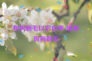 狗狗剃毛以后自卑-缓解狗狗剃毛