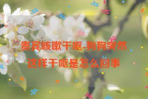 贵宾咳嗽干呕-狗狗突然这样干呕是怎么回事