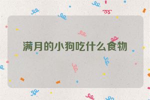 满月的小狗吃什么食物
