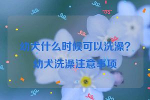 幼犬什么时候可以洗澡？幼犬洗澡注意事项