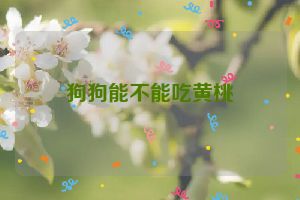 狗狗能不能吃黄桃