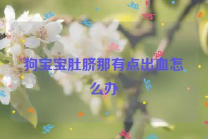 狗宝宝肚脐那有点出血怎么办