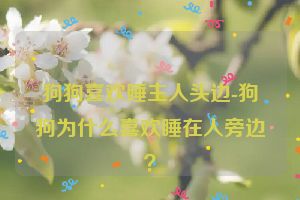 狗狗喜欢睡主人头边-狗狗为什么喜欢睡在人旁边？