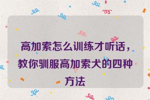 高加索怎么训练才听话，教你驯服高加索犬的四种方法