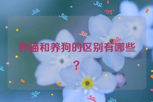 养猫和养狗的区别有哪些？