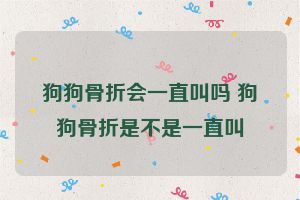 狗狗骨折会一直叫吗 狗狗骨折是不是一直叫