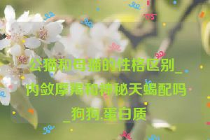 公猫和母猫的性格区别_内敛摩羯和神秘天蝎配吗_狗狗,蛋白质