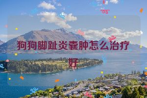 狗狗脚趾炎囊肿怎么治疗好